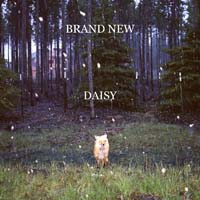 Brand New - Daisy